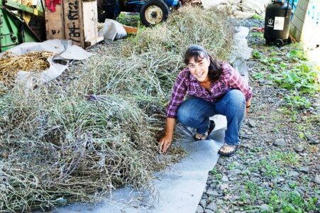 ‘Adaptive Seeds’ Works to Reclaim Our Seed Heritage, Part 2 Image